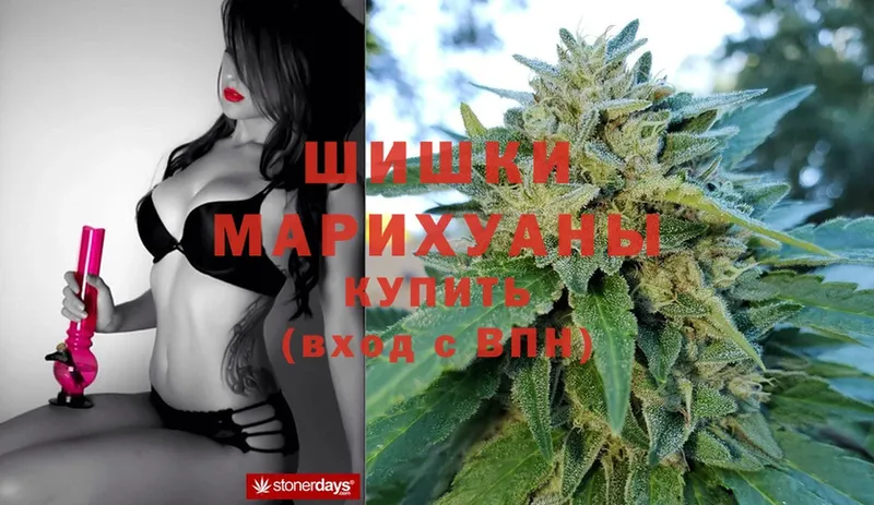 где можно купить   Геленджик  Каннабис SATIVA & INDICA 